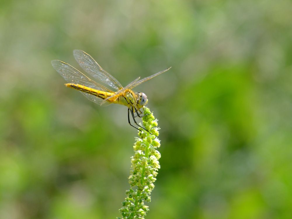 Photograph by Cengiz Yalcin