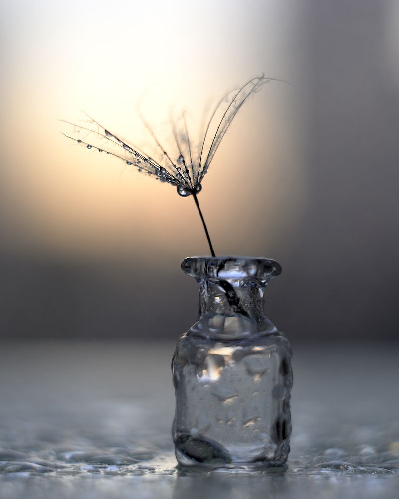 Мини-натюрморт с каплями/Mini still-life with drops