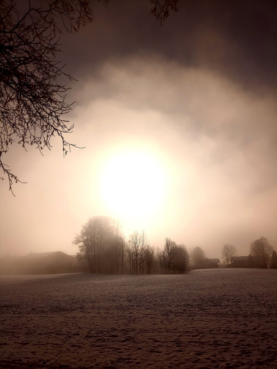 Photo #11891395