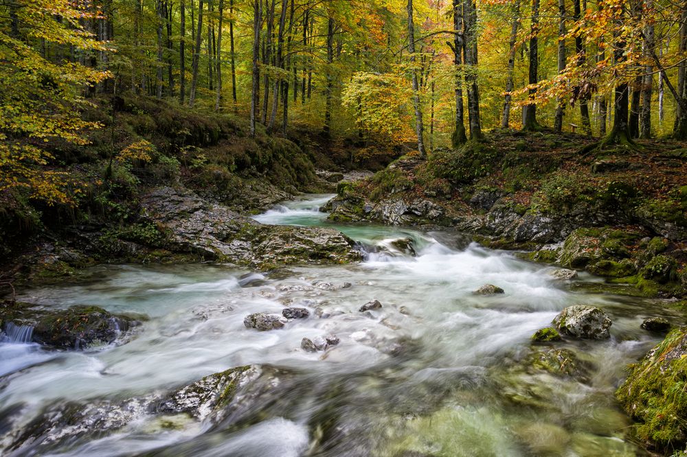 Arzino valley, Friuli italy