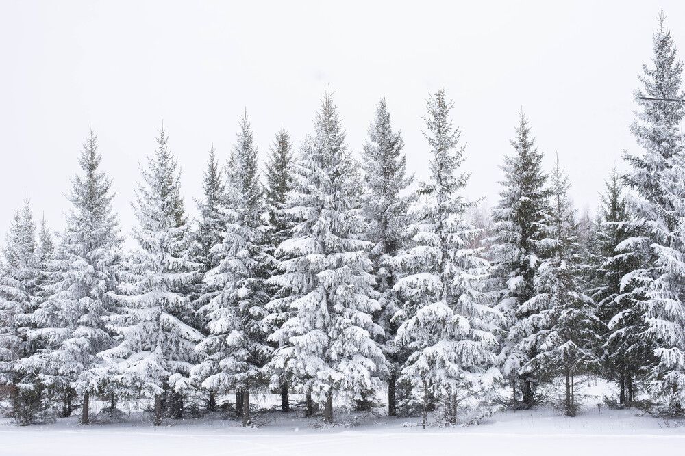 Photograph by Оксана Смирнова