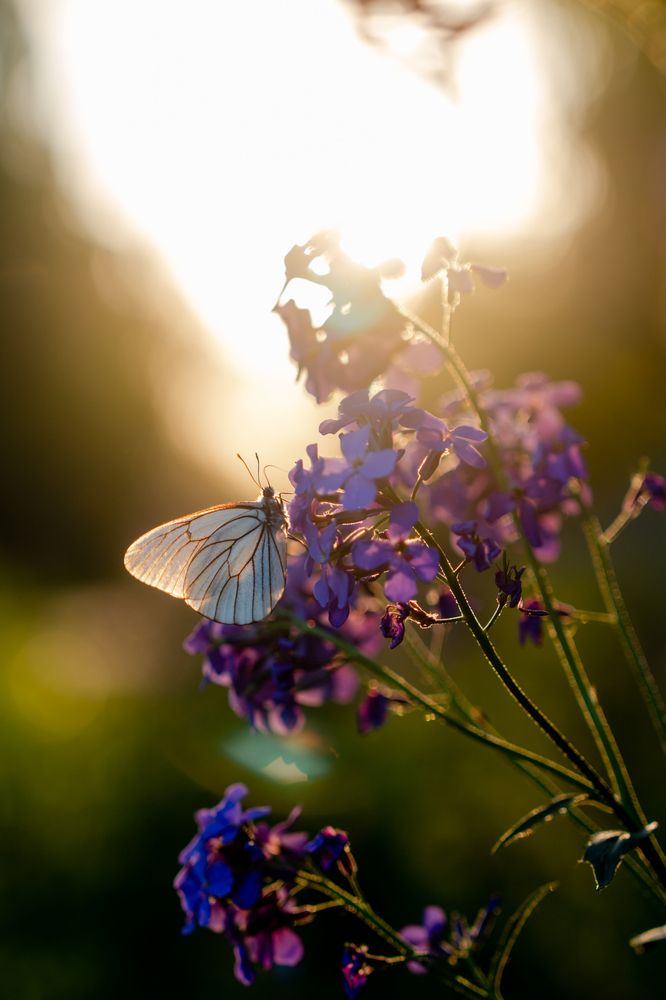 А кто-то на ночь не ест
