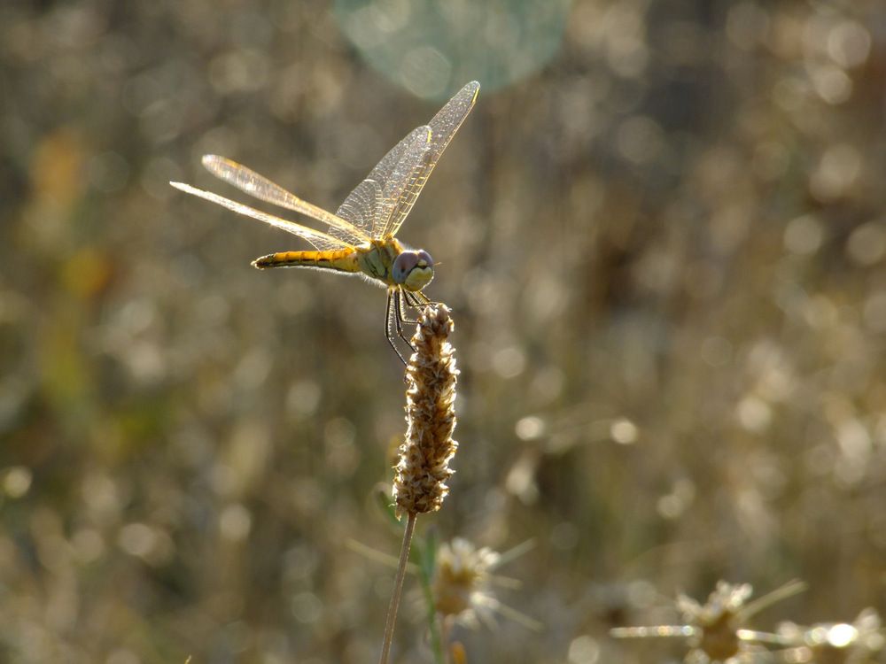 Photograph by Cengiz Yalcin