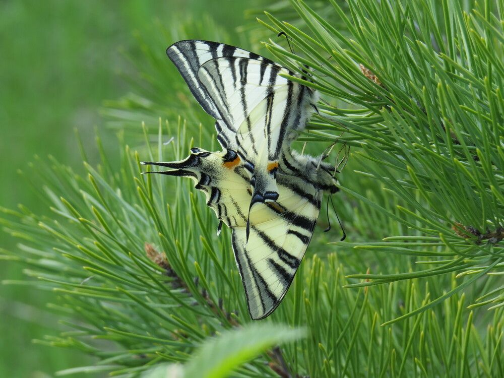 Photograph by Оксана Малахова