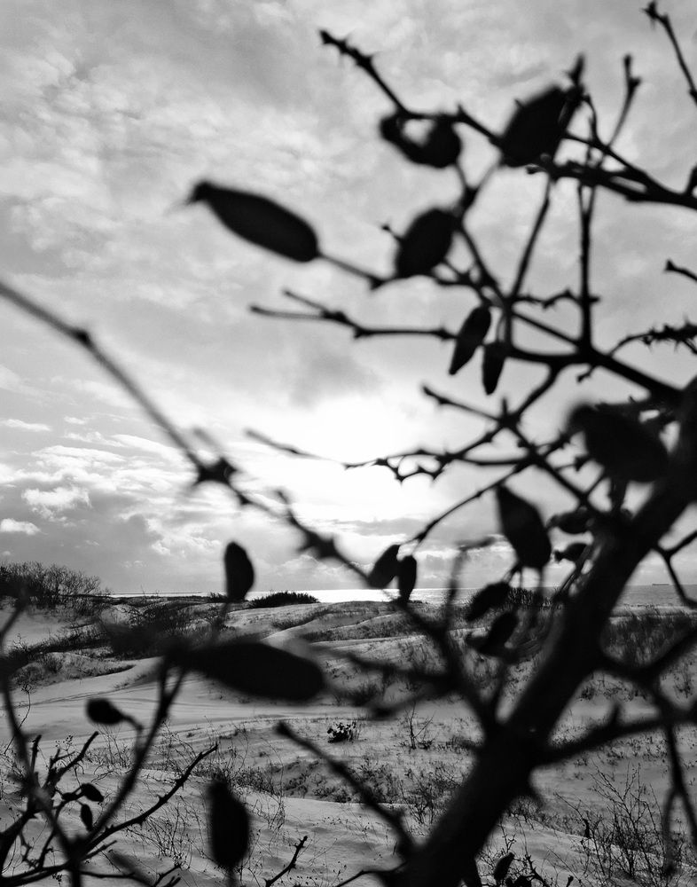 Photograph by Владимир Кублицкий