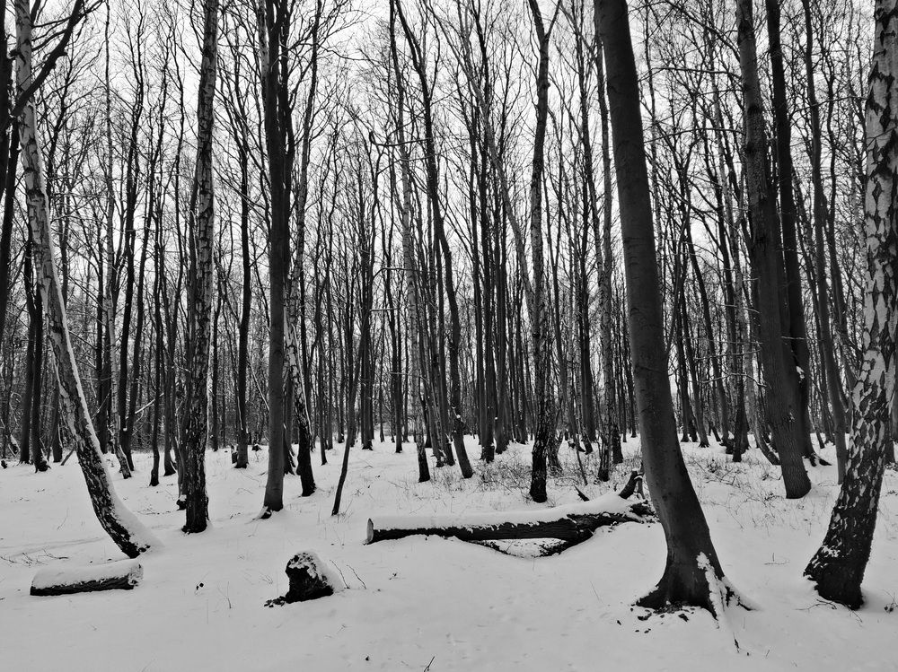 Photograph by Владимир Кублицкий