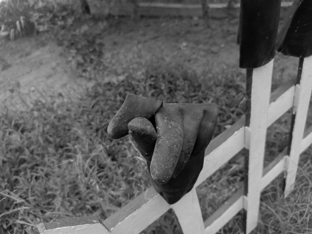 Photograph by Марина Демочкина