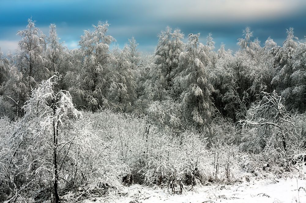 Photograph by Александр Удальчиков