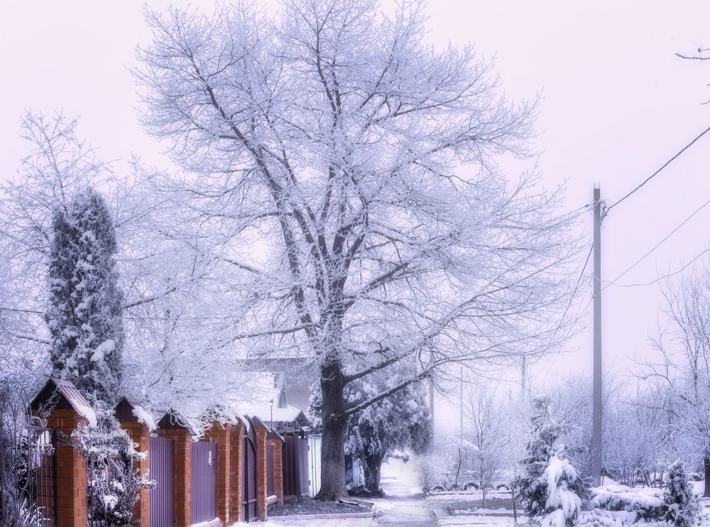 Photograph by Владимир Кваша