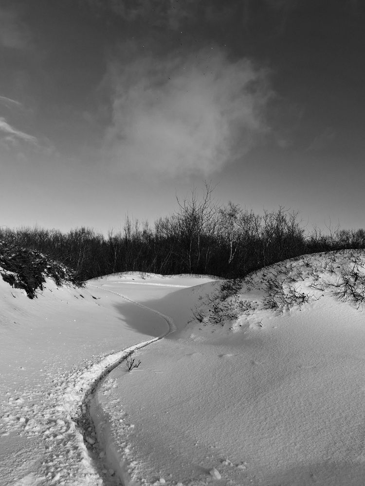 Photograph by Владимир Кублицкий