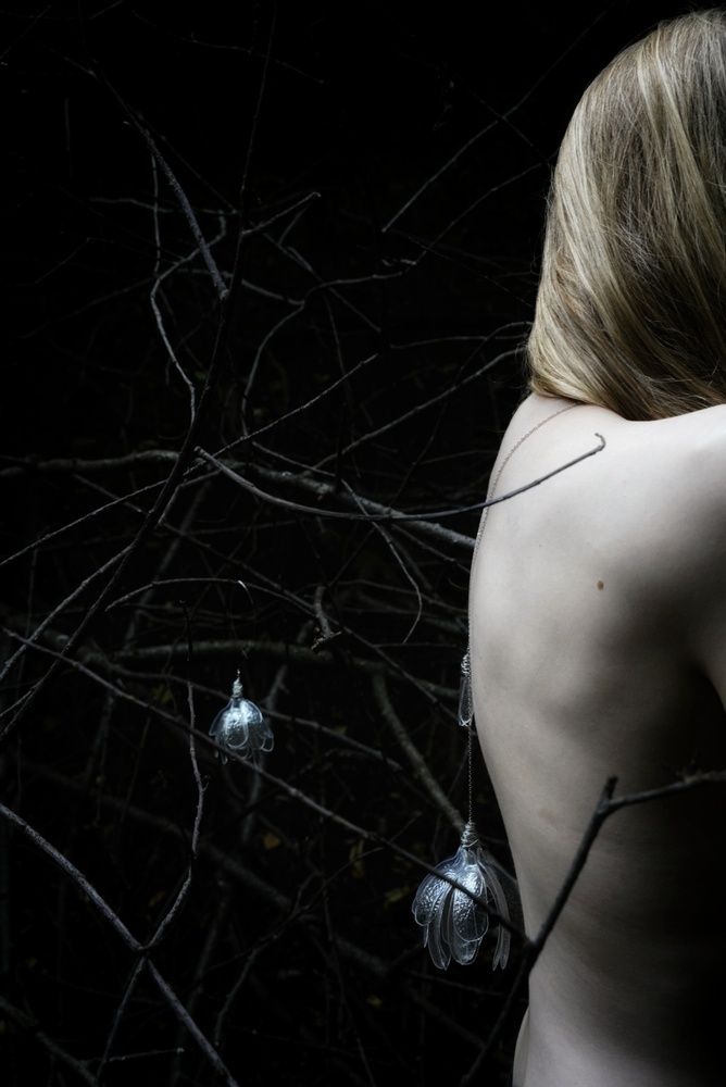 Фотография автора Василий Рябовол