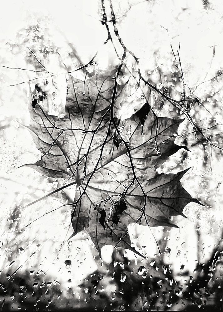 Photograph by Марина Мальцева