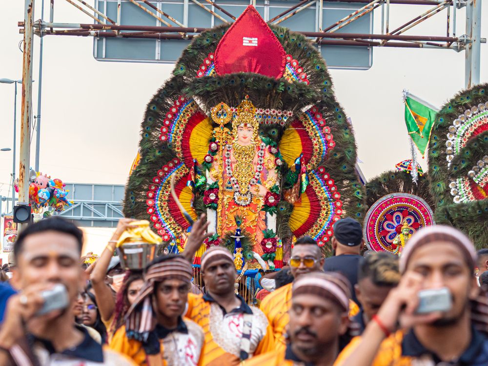 Фотография автора Tiger King