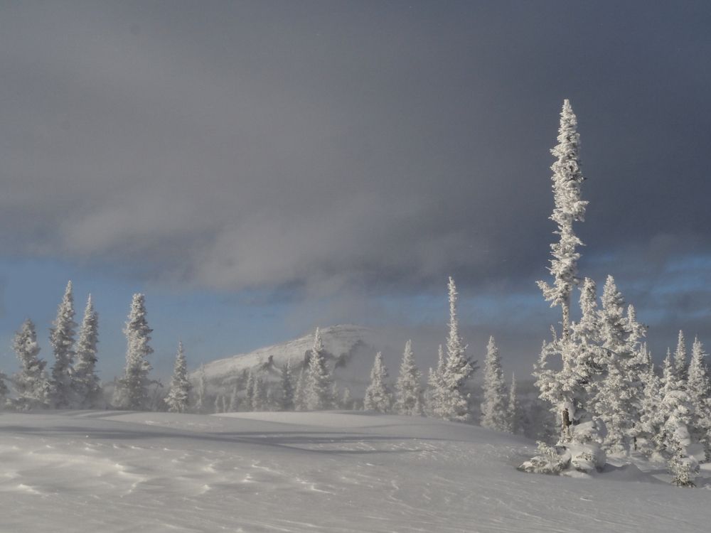 Photograph by Татьяна Кравченко