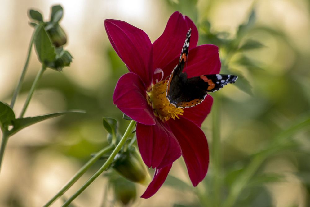 Photograph by Людмила Павловна