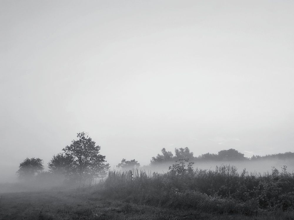 Photograph by Марина Мальцева