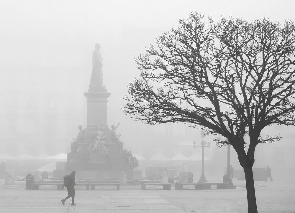 Photograph by Paulina Michałowska