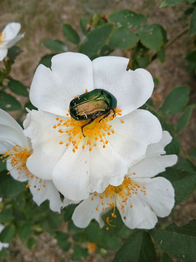 Фотография автора Андрей Тимошенко