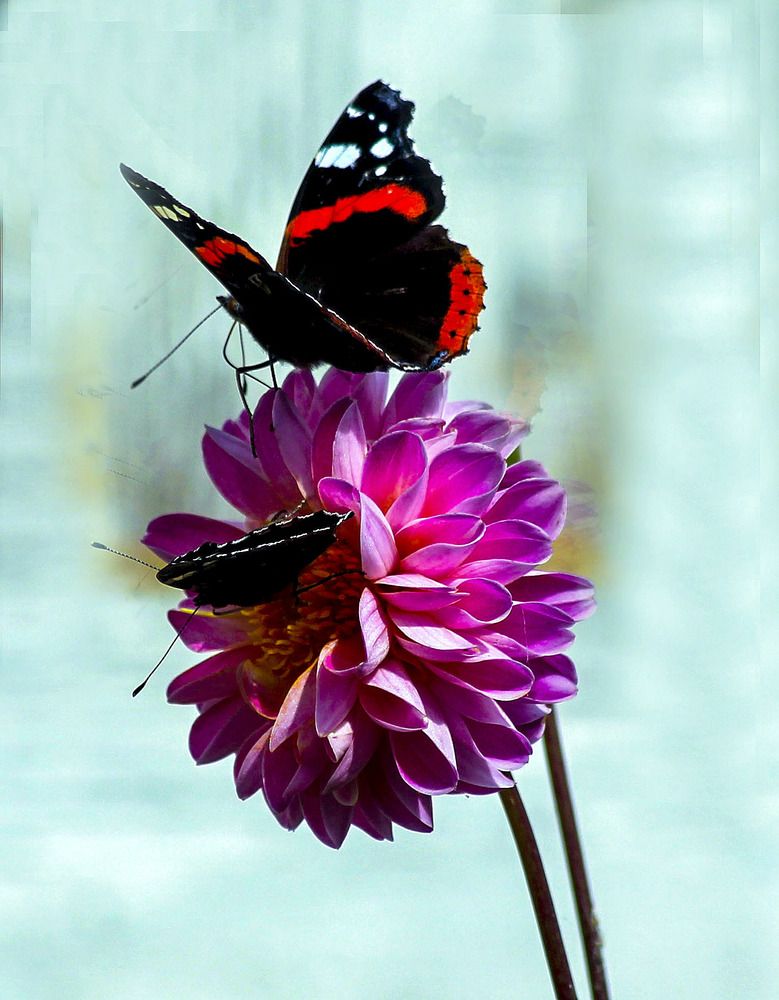 Photograph by Людмила Павловна