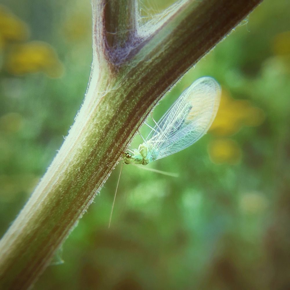 Photograph by Марина Мальцева