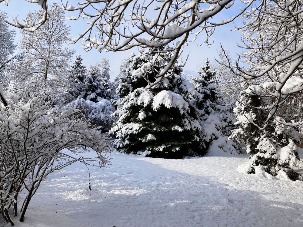 Photograph by Ярослав Сергеевич