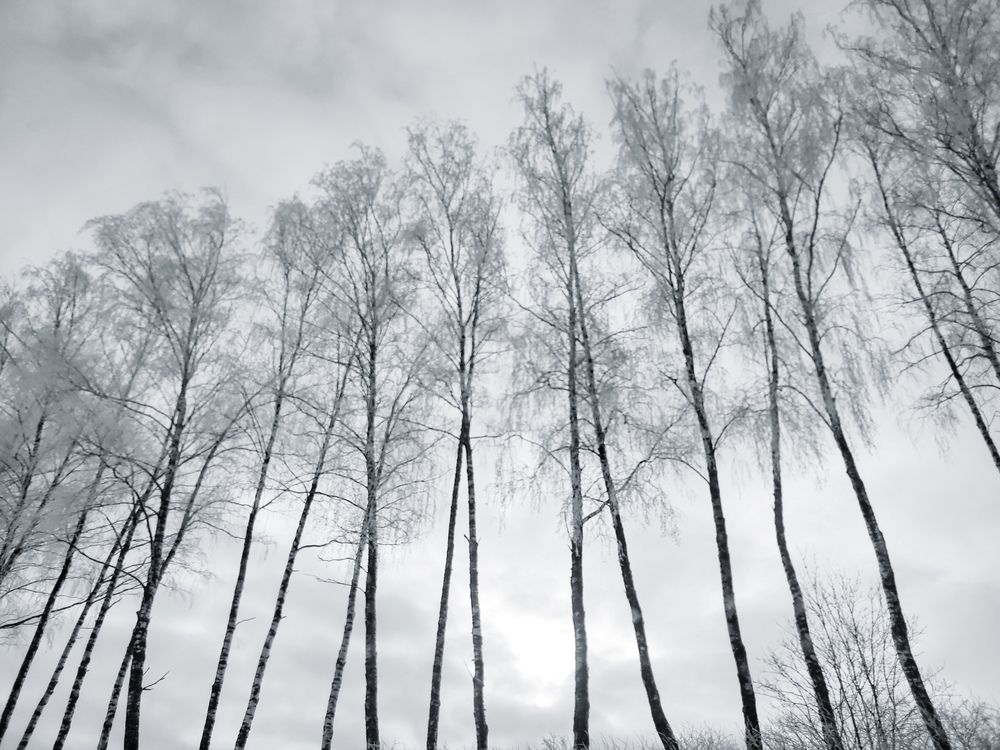 Photograph by Елена Пасажицкая