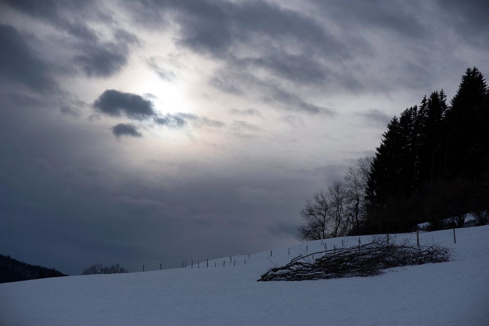 Photograph by Ala Botnarescu