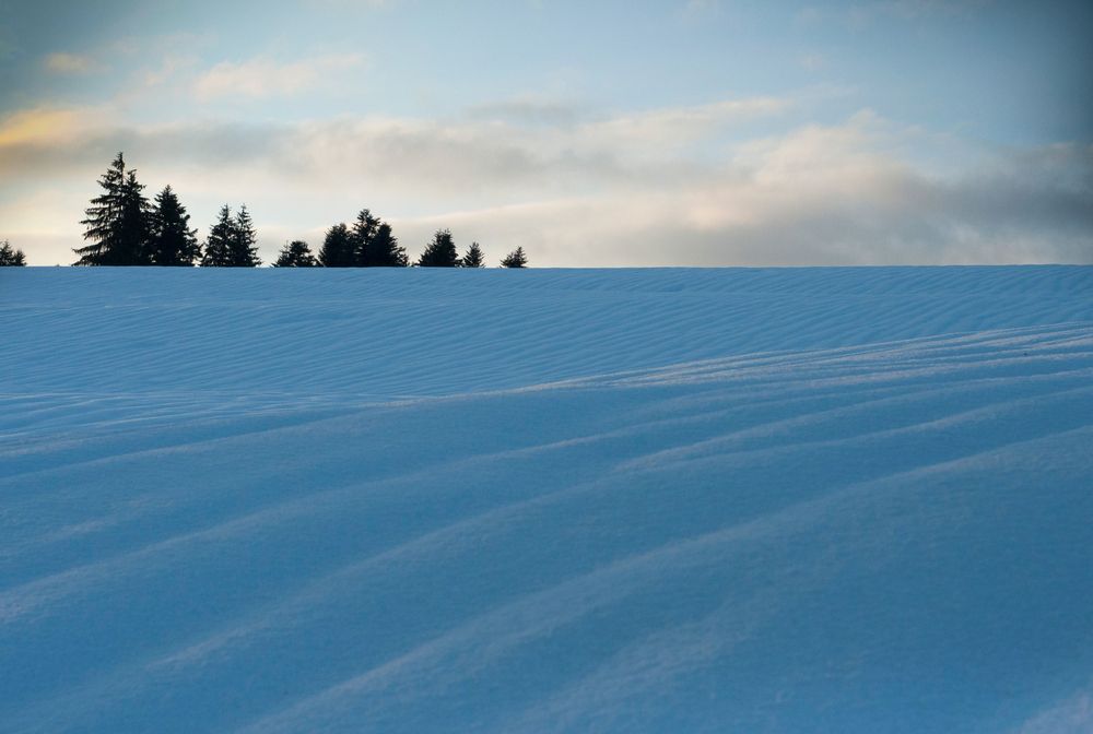 Photograph by Ala Botnarescu