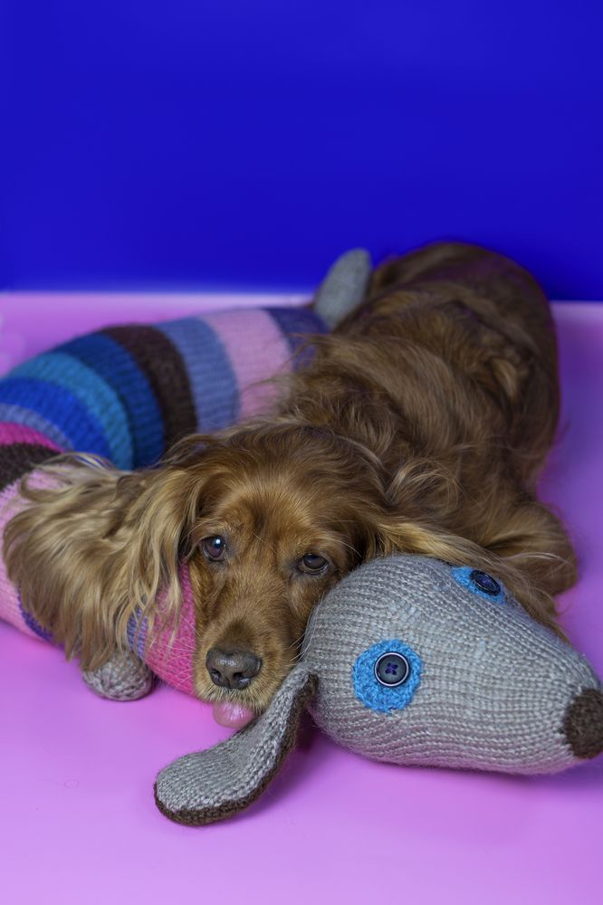 Photograph by Victoria Mogulyan