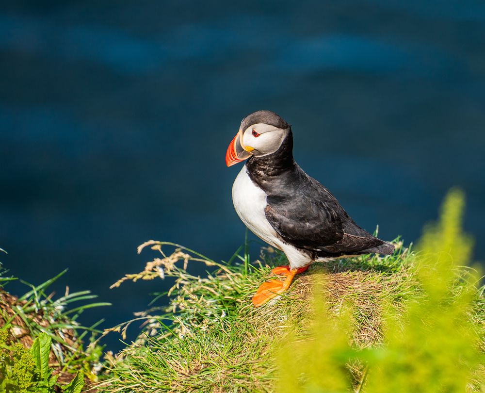 Photograph by Piotr Mickevic