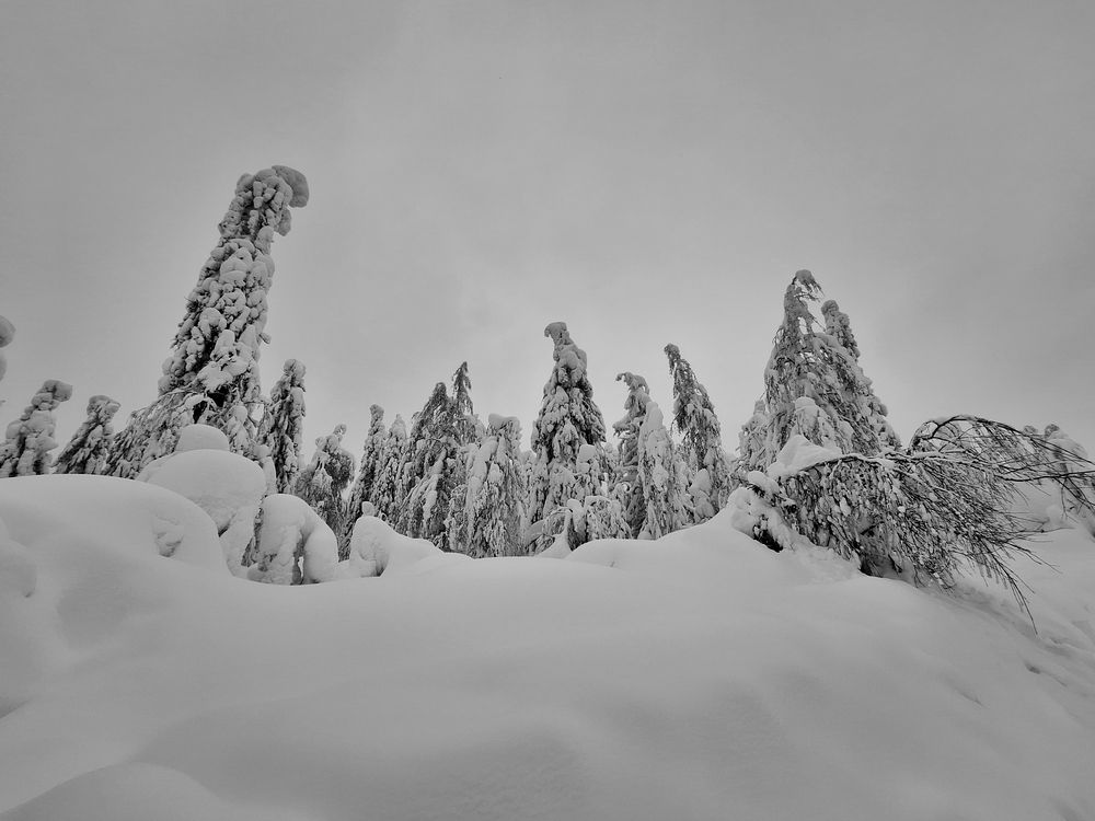 Photograph by Яна Щипицына