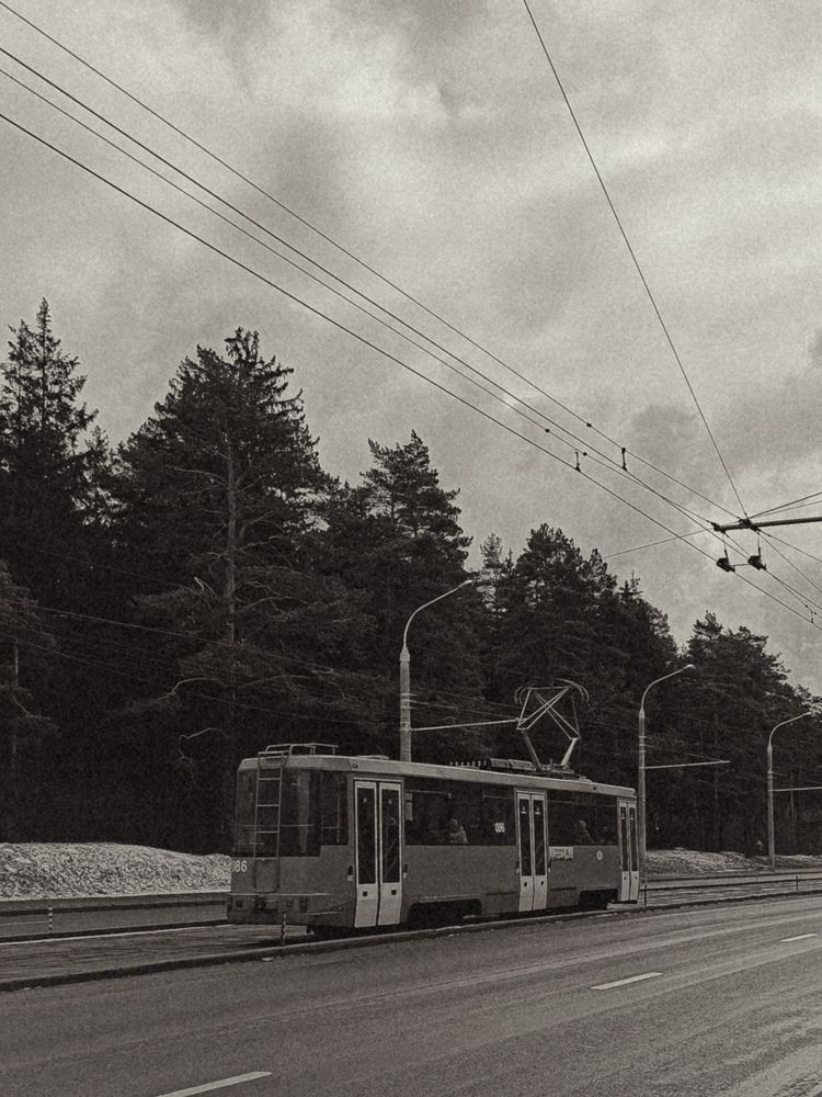 Фотография автора Ирина Романовская