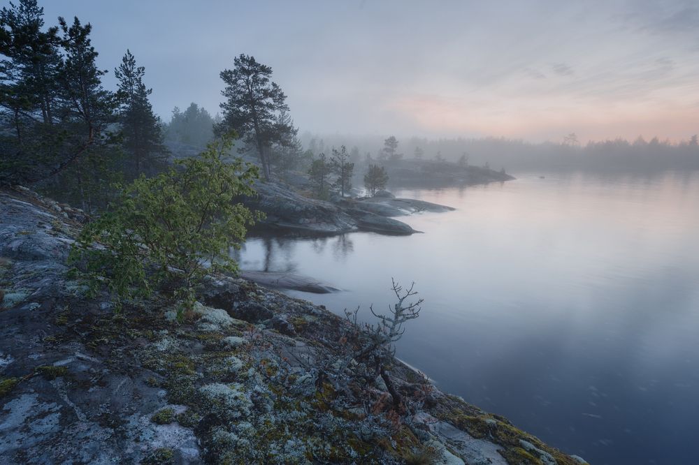 Фотография автора Шишкин Дмитрий