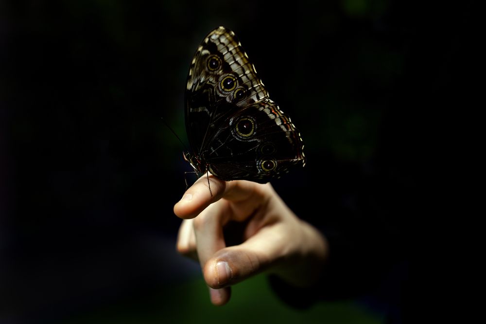 Photograph by Елена Гостева