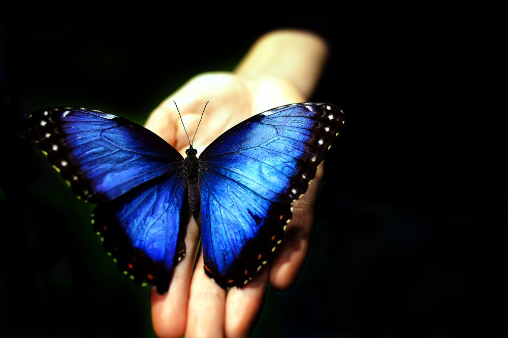 Photograph by Елена Гостева