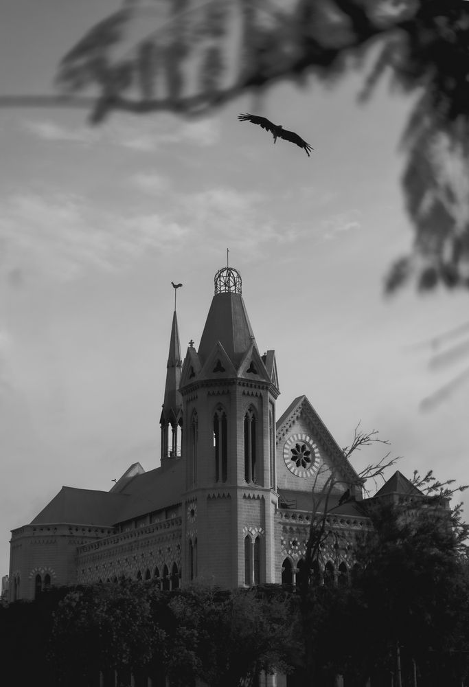 Photograph by tasveerography