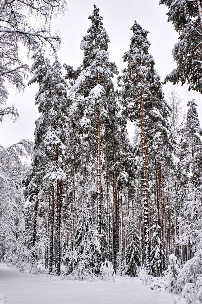 Photograph by Алексей Малов