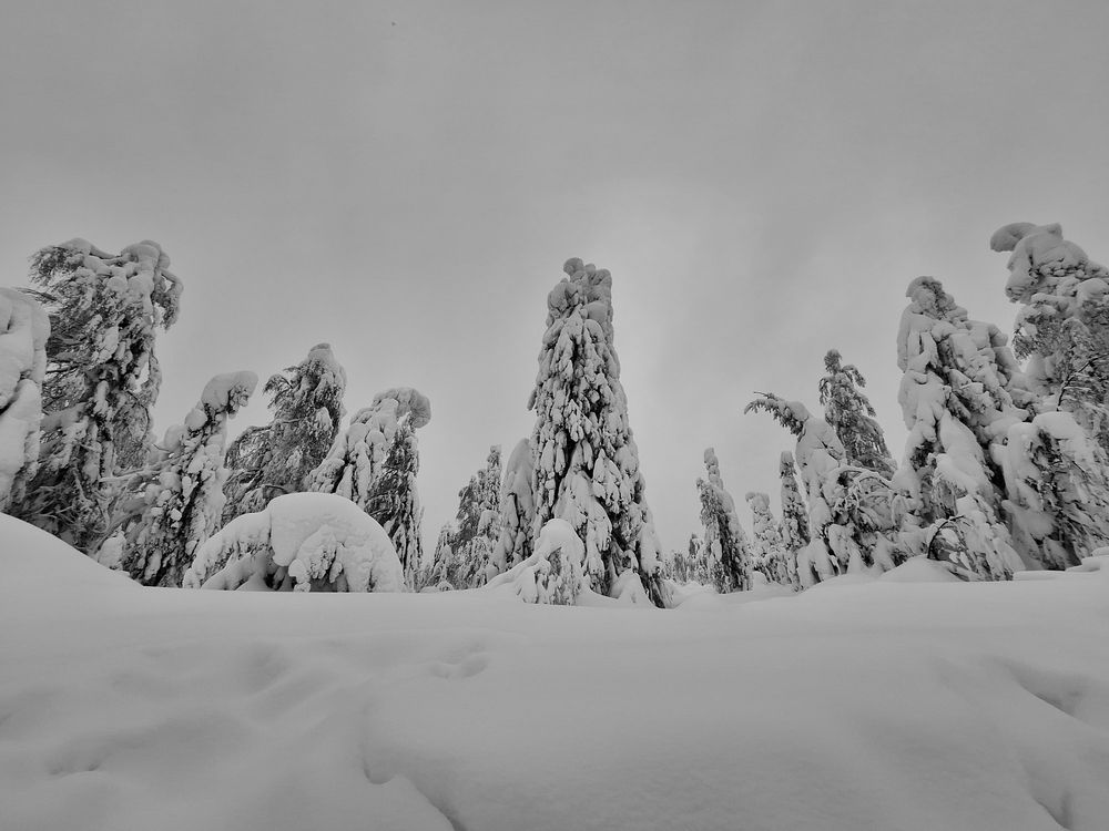 Photograph by Яна Щипицына