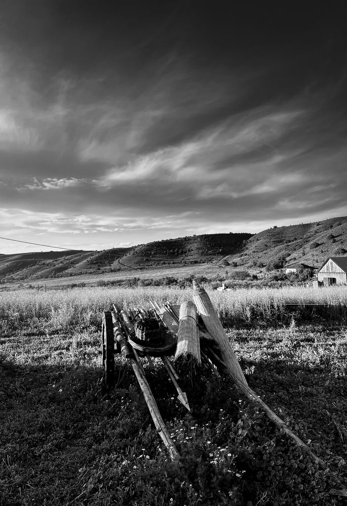 Photograph by Zhalgas Zhumagaliuly