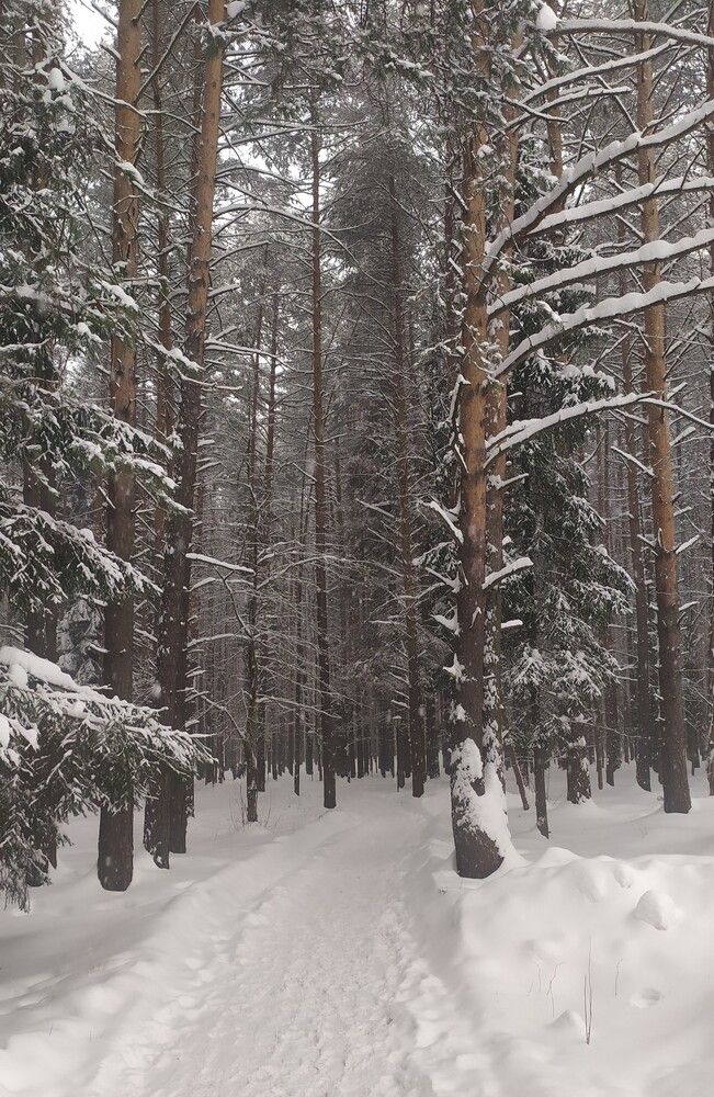 Photograph by Анна