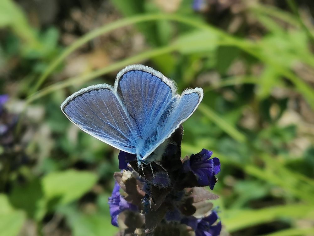 Photograph by Ольга Попченко