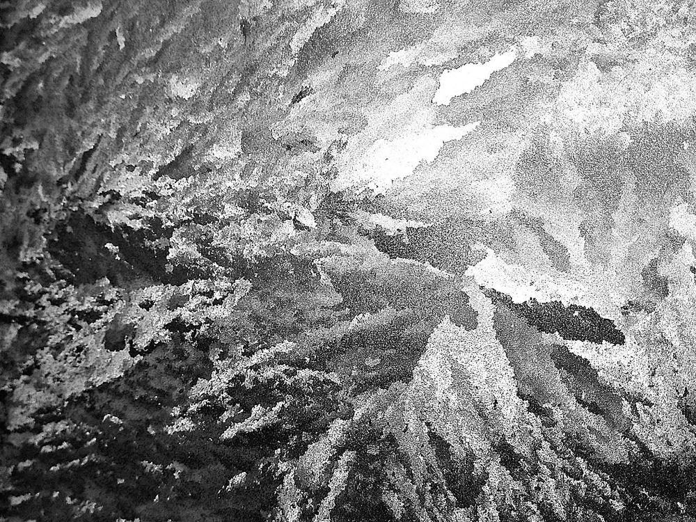 Фотография автора Ману Фалько