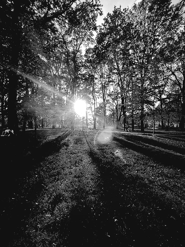 Фотография автора Ману Фалько