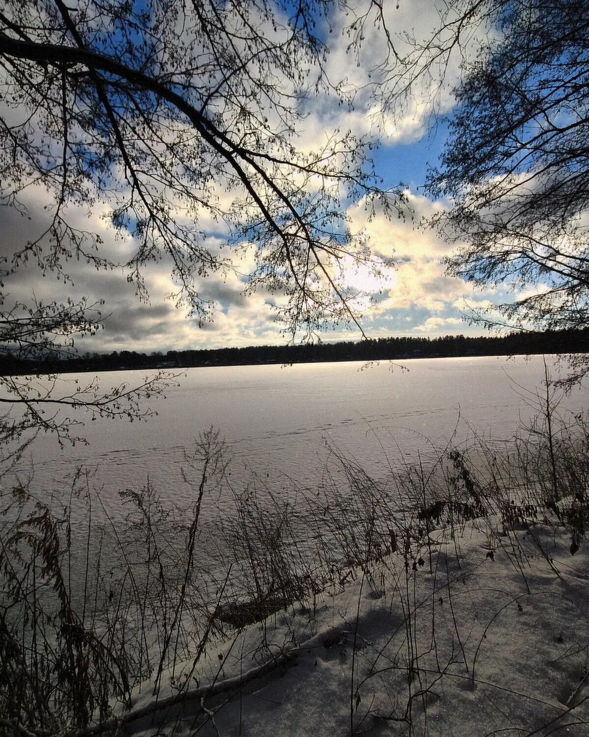 Photo #11892026