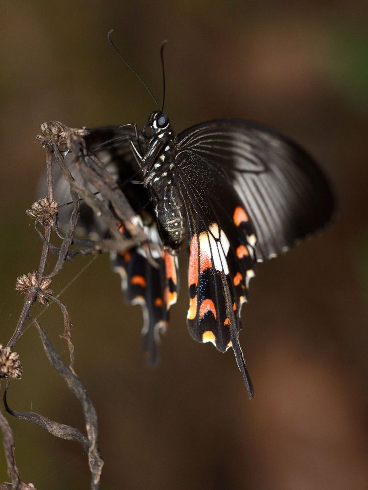 Photograph by Алексей Поляков