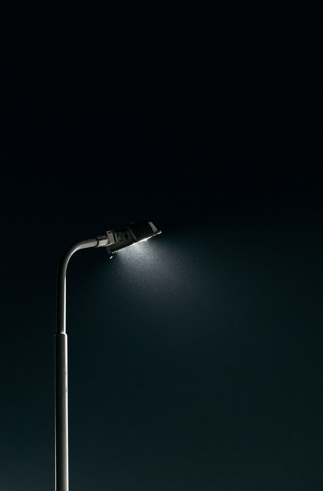 Photograph by Темур Талипов