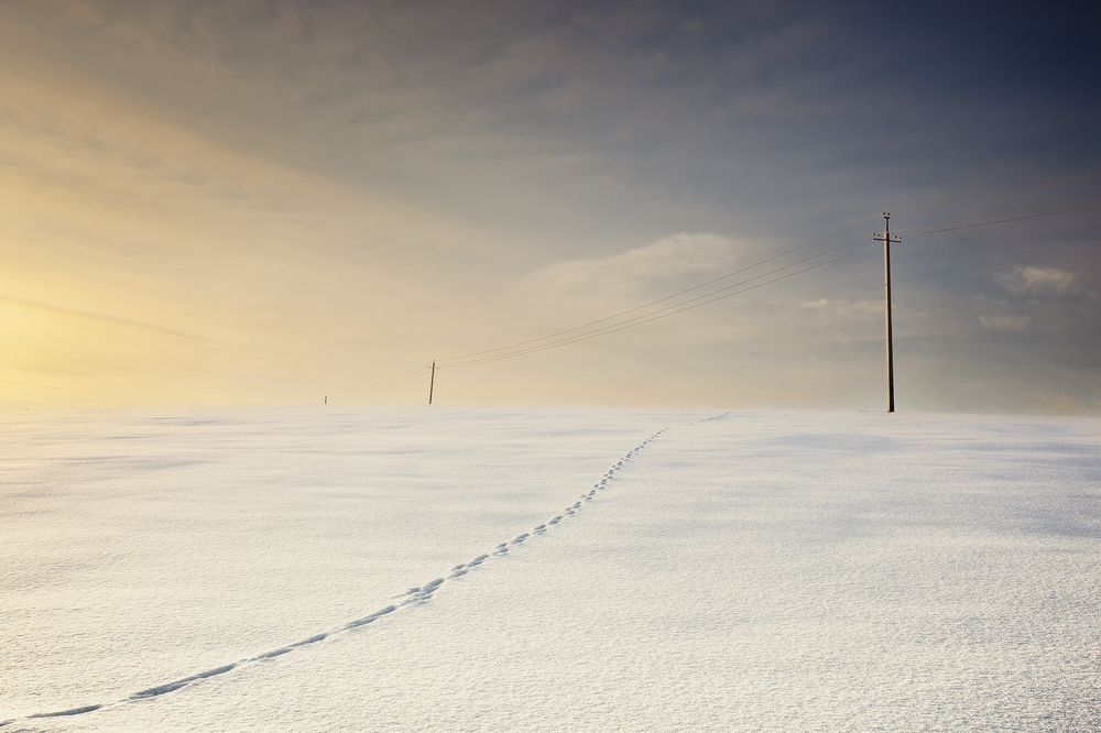 Photograph by Сергей Олюков