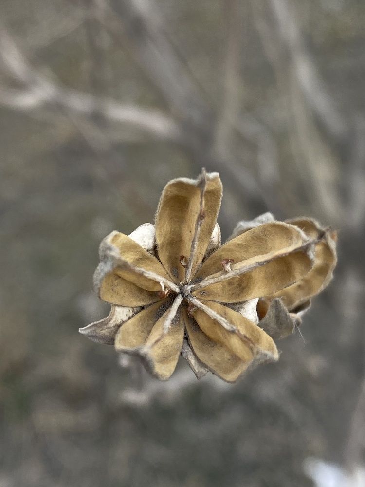 Photograph by Елизавета Корнилова