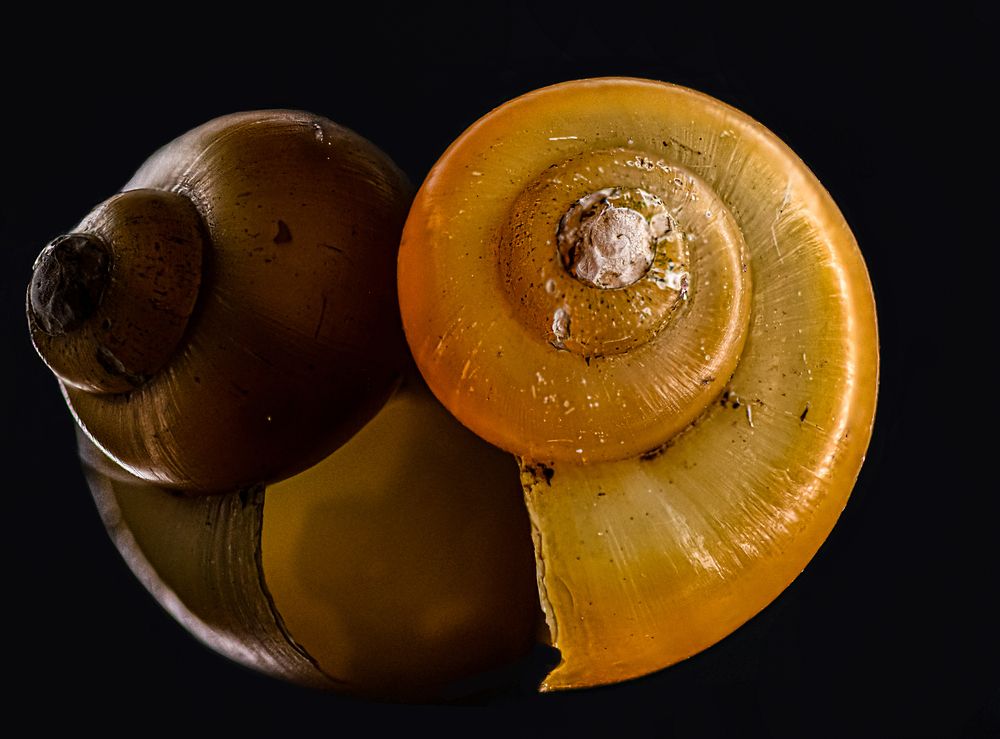 Photograph by Урасов Олег