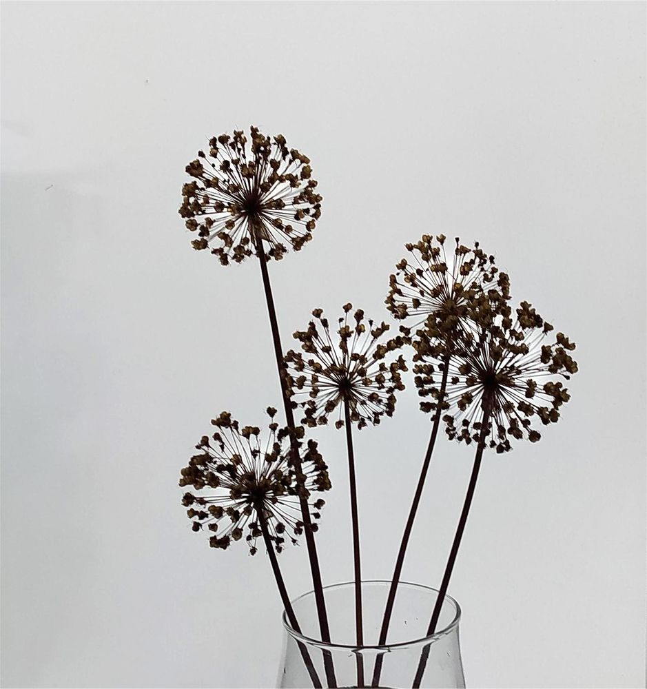 Photograph by Светлана Семенова